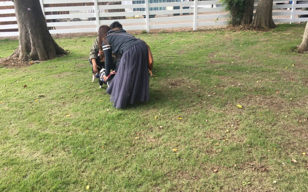 ドッグラン施工事例